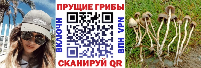 ссылка на мегу вход Лаишево Псилоцибиновые грибы Magic Shrooms как найти наркотики