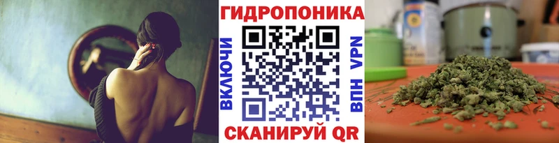 МАРИХУАНА сатива  Лаишево 